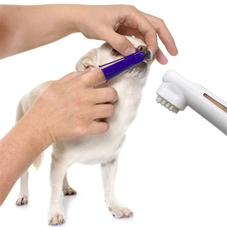 escova dente dogs and cats